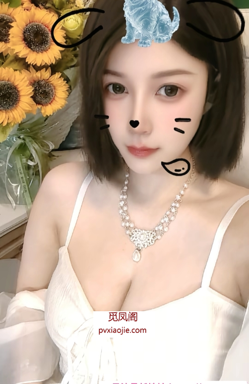 市北短发D胸少妇兼职