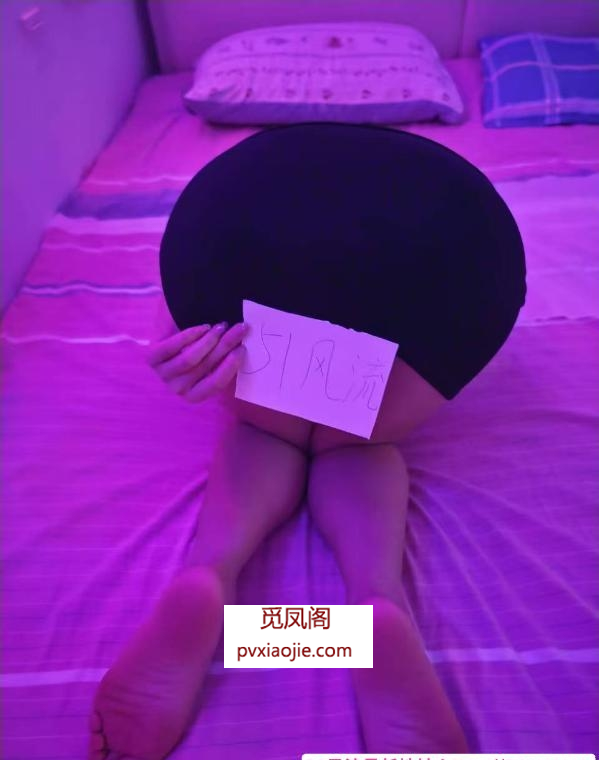 福田水床小刺猬