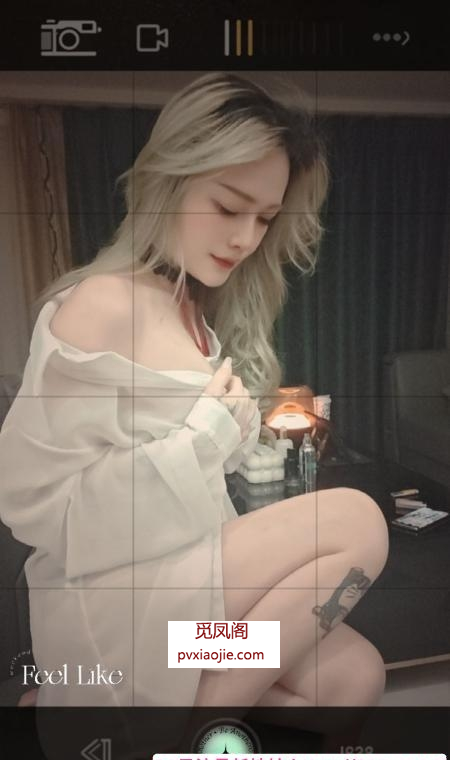 南城御姐舌吻晓晓