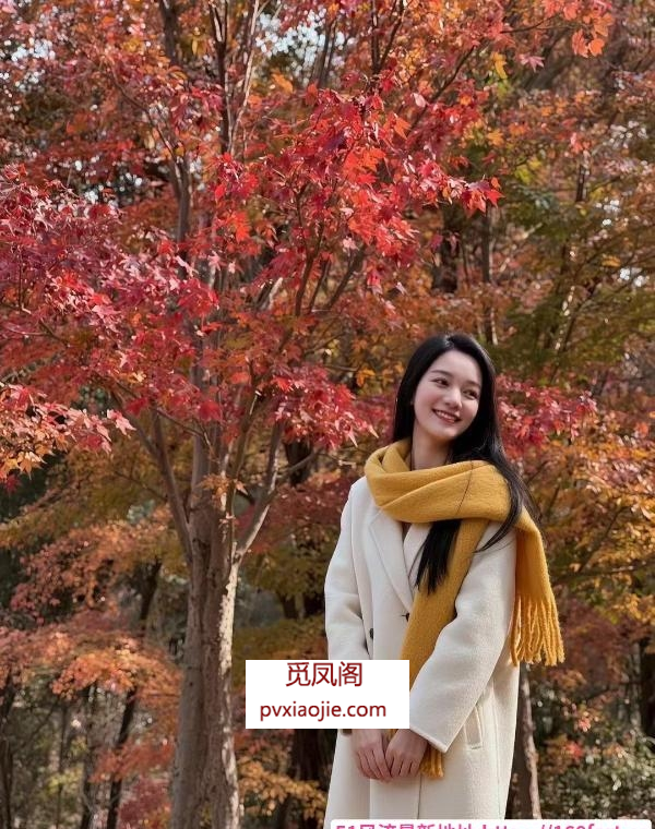 合肥瑶海区颜值系