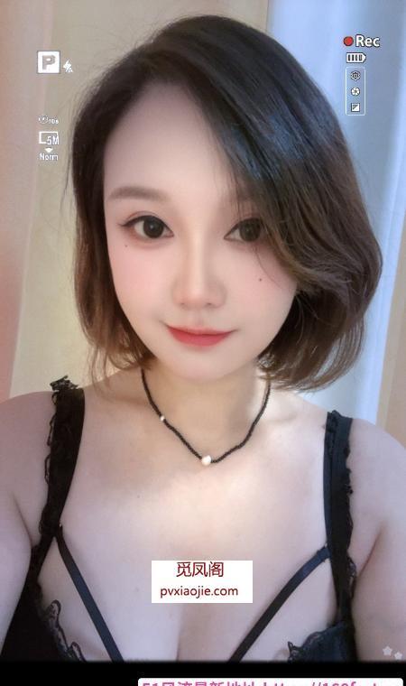 汉阳小野猫服务系